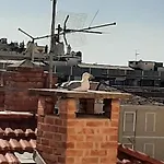 Le Petit Citron Μεντόν