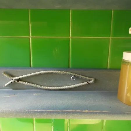 Le Petit Citron Menton