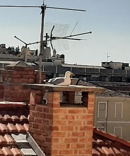 Le Petit Citron Μεντόν